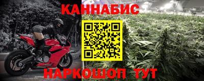 не бодяженный Кингисепп
