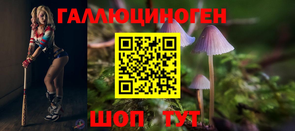 APVP СК   Вход с VPN  ЭКСТАЗИ  Каннабис  ГАШ  Кызыл  Меф МЯУ МЯУ   Гашиш 