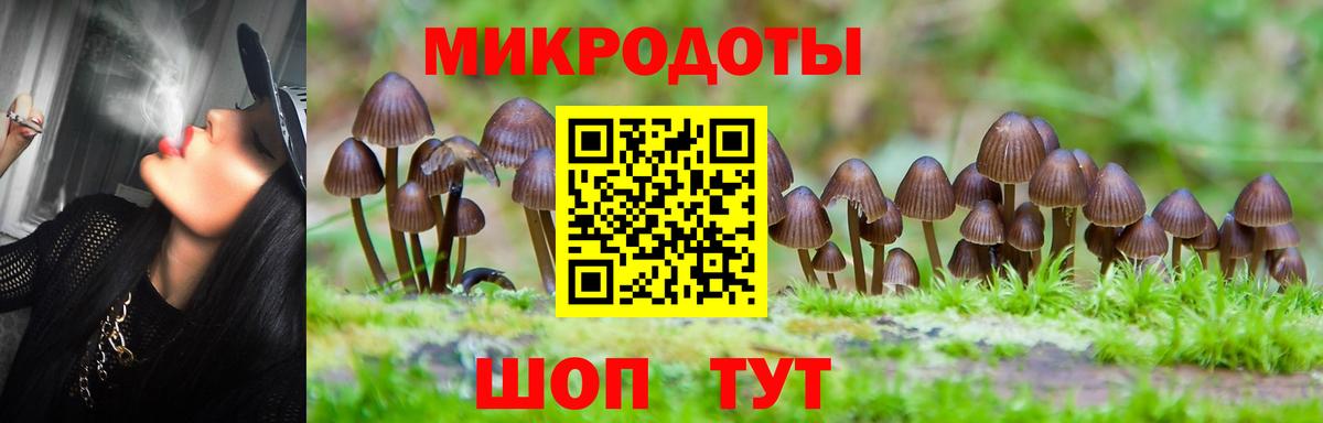 Галлюциногенные грибы Cubensis  Псилоцибиновые грибы мицелий  где купить наркотик  Вход с VPN  Кызыл 